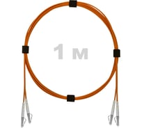 Патч-корд оптический ENGINOVA LC/UPC-LC/UPC MM (OM2) 3mm duplex LSZH, 1 м ENG-PC-DX-2LCU-OM2-1m-LSZH-OR