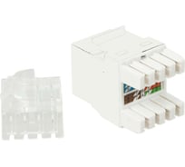 Модуль Keystone LANMASTERRJ45, категория5e, UTP, 180 градусов, белый LAN-OK45U5E/180P-WH