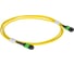 Сборка кабельная ITK MPO/APC Female-MPO/APC Female тип A 12ОВ SM OS2 10м FAP0902-MPOF-MPOF-12A-010 1
