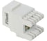 Модуль Keystone RJ45 UTP FL-KJ-U6-WT-180 Cat 6, Dual IDC (110/KRONE), 180 градусов, белый Filum 00-01209886 1