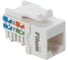 Модуль Keystone RJ45 UTP FL-KJ-U6A-WT-90 Cat 6A, Dual IDC (110/KRONE), 90 градусов, белый Filum 00-01209889 2