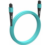 Волоконно-оптическая сборка NTSS trunk 8ов, MPO/UPC (female)-MPO/UPC (female), полярность B, 50/125 OM3, внутренний, 30м, LSZH шт NTSS-FM8-503-MPO/U(f)-MPO/U(f)-B-30