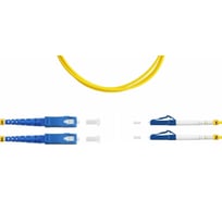 Оптический двойной шнур FOPS патч-корд дуплекс -DX-SC/UPC-LC/UPC-9/125-3.0-LSZH-3m 89