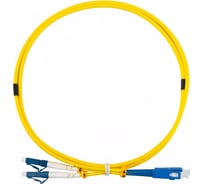 Оптический патч-корд REXANT (SM), 9/125 (OS2), LC/UPC-SC/UPC, 3 мм дуплекс, LSZH, 2 м 50-2477-1