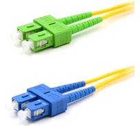 Оптический переходной патч-корд REXANT (SM), 9/125 (OS2), SC/APC-SC/UPC, (Duplex), PVC, 2м 50-2059