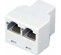 Компьютерный двойник REXANT RJ-45(8P-8C) гнездо - 2 гнезда 03-0103