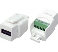 Вставка Hyperline KJ1-USB-A2-SCRW-WH формата Keystone Jack USB 2.0 (Type A) под винт, ROHS, белая 251290