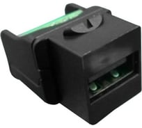 Вставка Hyperline KJ1-USB-A2-SCRW-BK формата Keystone Jack USB 2.0 (Type A) под винт, ROHS, черная 251289