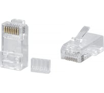 Универсальный коннектор RJ-45 под витую пару Cabeus категория 6, (для одножильного и многожильного кабеля), для проводников с толщиной по изоляции до 1,05 м 100 шт 8P8C-C6-TWP
