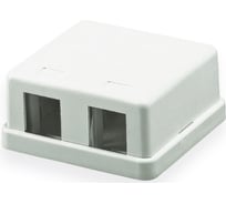 Корпус настенной розетки для установки двух вставок типа Keystone Jack Hyperline SBB1-2-WH 15416
