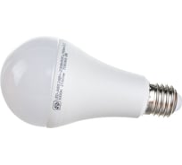 Лампа ASD сд LED-A65-std 24Вт 230В Е27 3000К 2160Лм 4690612014265