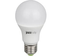 Лампа для растений Jazzway PPG A60 Agro 15w FROST E27 IP20 5025547 16092192