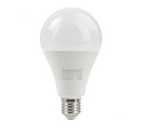 Светодиодная лампа SONNEN 20 Вт, цоколь Е27, груша, теплый белый, 30000 ч, 454921