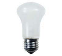Лампа накаливания General Electric GE 75MK1/FR/E27 --50 91699