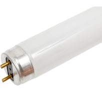 Линейная люминесцентная лампа OSRAM L 58W/865 25X1 4008321582720 18293893