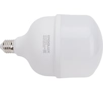 Светодиодная лампа Ergolux LED-HW-50W-E40-6K серия PRO 50Вт E27/E40 6500К 150-260В 14329