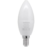 Умная LED лампа RGB GEOZON RG-02 E14, C37, 5.5W, Wi-Fi, AC 220-250В, 50-60Гц, 350lm, white GSH-SLR02