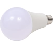 Светодиодная LED лампа Smartbuy ФИТО A80-17W/E27 SBL-A80-17-fito-E27