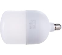 Светодиодная лампа Ecola High Power LED Premium 40W 220V универс. E27/E40 лампа 2700K 180x110mm HPUW40ELC 22441425