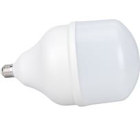 Светодиодная лампа Ecola High Power LED Premium 100W 220V универс. E27/E40 лампа 6000K 260x150mm HPD100ELC 22441401