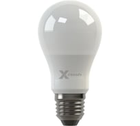 Светодиодная лампа X-flash XF-BF-E27-6W-3K-220V 43408