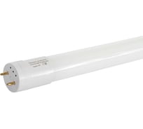 Светодиодная линейная лампа GLANZEN T8 0.6 м LED-6500-10-G13 КА-00008630