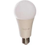 Лампа Gauss LED Elementary A67 25W E27 2100lm 4100K 73225 15869325