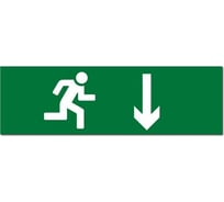 Надпись Элтех-Сервис ЧЕЛОВЕК СТРЕЛКА ВНИЗ (зелен. фон) сменная для табло на защелке 00000000683