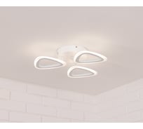 Потолочная светодиодная люстра Schaffner, LED, цвет белый. Люстра с пультом управления, мощность 48 Вт. Площадь освещения до 10м2 Tipo 3180-3