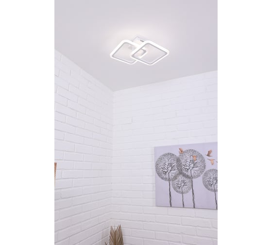 Потолочная светодиодная люстра Schaffner Corpo 4030-2, LED, цвет белый. Люстра с пультом управления, мощность 52 Вт. Светильник потолочный. Площадь освещения до 15 м2 Corpo 4030-2 IR