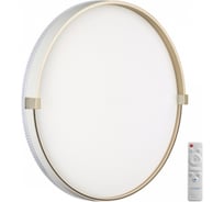 Настенно-потолочный светильник СОНЕКС LED 70W OLIDI WHITE 7646_E 7646_EL