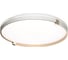 Настенно-потолочный светильник СОНЕКС LED 70W OLIDI WHITE 7646_E 7646_EL 5