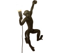 Настенный светильник Балтийский светлячок Monkey, черный, правая сторона LM-1002CHR