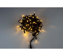 Гирлянда TEAMPROF Нить 10 м, 24В, колпачок, ТЁПЛ.БЕЛЫЙ, чёрный провод TPF-S10C-24V-CB/WW