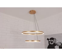 Люстра Schaffner Incontri led 92w 5003-600+400 FGD