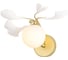 Бра Crystal lux COLIBRI AP1 GOLD 2