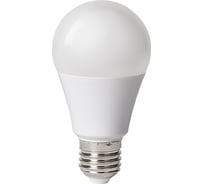 Светодиодная низковольтная лампа FERON (12W) 12-48V E27 4000K A60, LB-19 48729