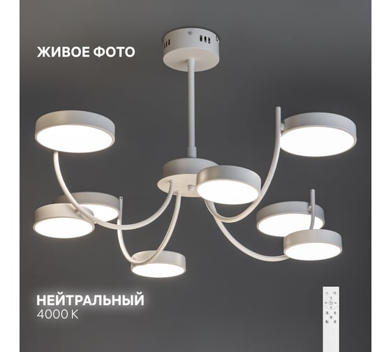 Потолочная люстра RITTER LED диммер MATTINO ДУ 3 режима 750x610 120Вт 2700/4200/6400 42м бел 51661 7