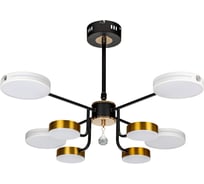 Потолочная люстра RITTER LED диммер SCANDIA ДУ 3 режима O770x480 112Вт 2700/4200/6400 34м бел/зол/чер 51650 1