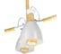 Потолочная люстра RITTER, VOLANTE, 900x850, 8м, 4хЕ27, металл, белый/дерево, , 52501 1 5