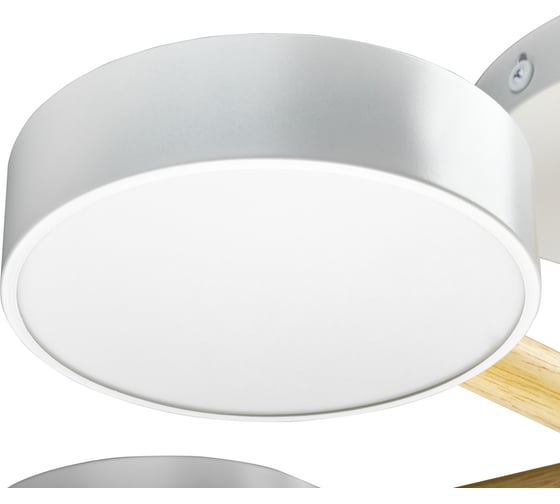 Люстра RITTER LED диммер SCANDIA с ДУ 3 режима 580x160 75Вт 2700/4200/6400 28м бел/дер 51591 7