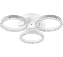 Потолочная люстра RITTER LED диммер LUCIDO ДУ O480x95 48Вт 2700K/4200K/6400K 17м бел 51641 9