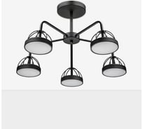 Люстра RITTER LED диммер MATTINO с ДУ 3 режима 600x300 78Вт 2700/4200/6400 26м чер 51594 8