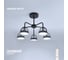 Люстра RITTER LED диммер MATTINO с ДУ 3 режима 600x300 78Вт 2700/4200/6400 26м чер 51594 8 8