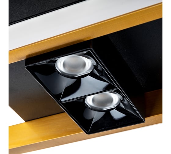 Люстра RITTER LED диммер ДУ 900x100x60 64Вт 4300Лм 2700/4000/6400 22м мет/ал зол/чер 51601 3