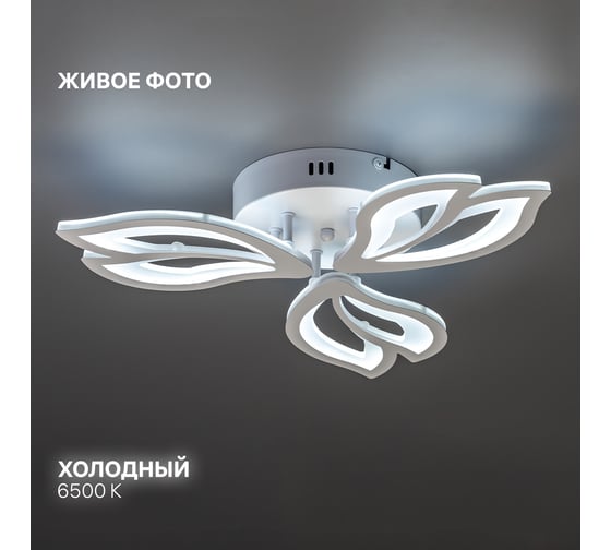Потолочная люстра RITTER LED диммер LEGANTE 3 режима 48Вт 2700/4200/6400 22м бел 51664 8