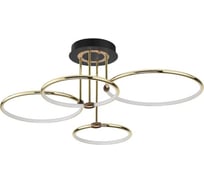 Потолочная люстра LUMION URSULA LED, 96W 5283_96CL