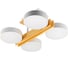 Потолочная люстра RITTER LED диммер SCANDIA ДУ 400x330x177 60Вт 2700K/4200K/6400K 23м бел/дер 51626 6 8