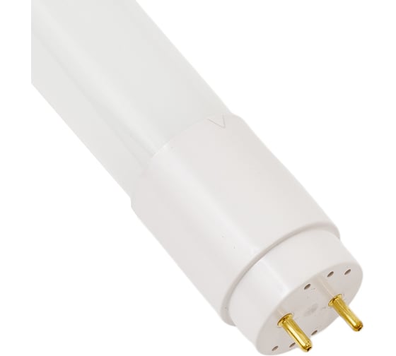 Светодиодная лампа ЭРА red line led t8-10w-865-g13-600mm ntb g13, неповоротный, 10вт, трубка, стекло, холодный дневной свет Б0056905