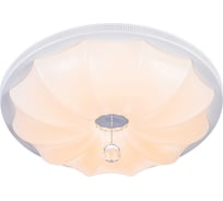 Потолочный светильник ESCADA *60W White 10231/S LED
